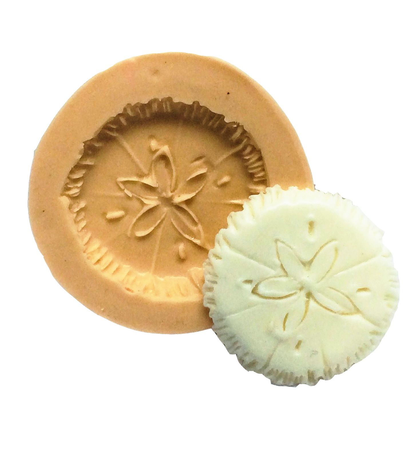 Bolacha do Mar - Pequena - P355