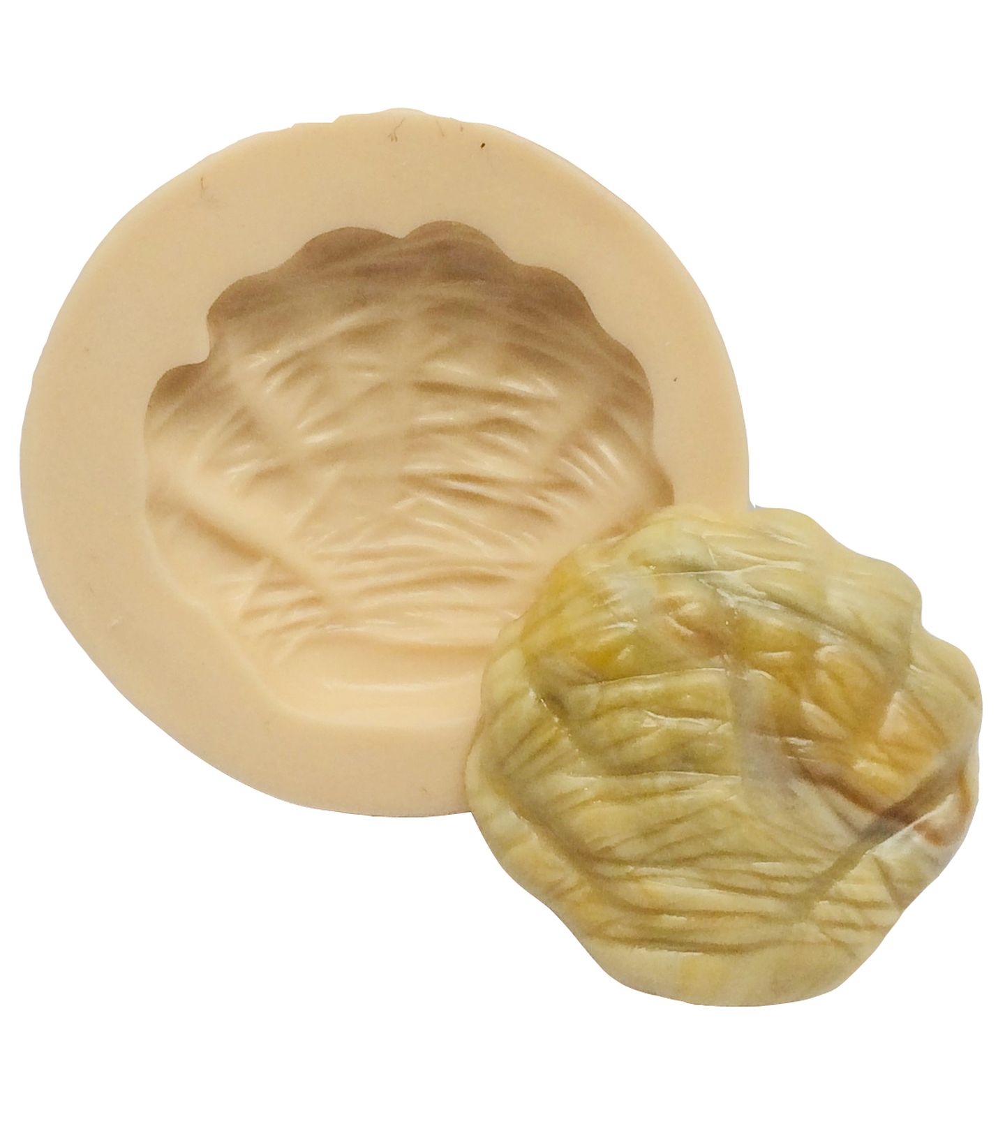 Concha - Pequena - P355