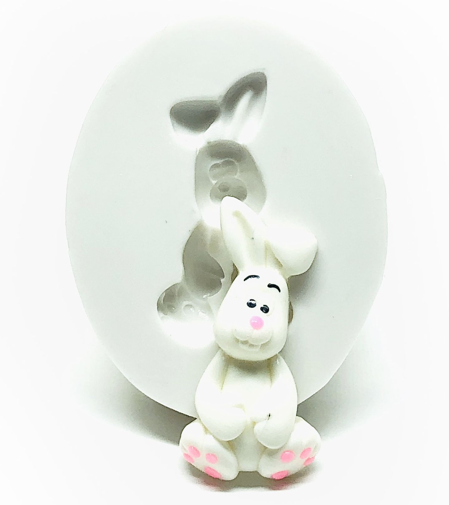 Coelho - Medio - P1028