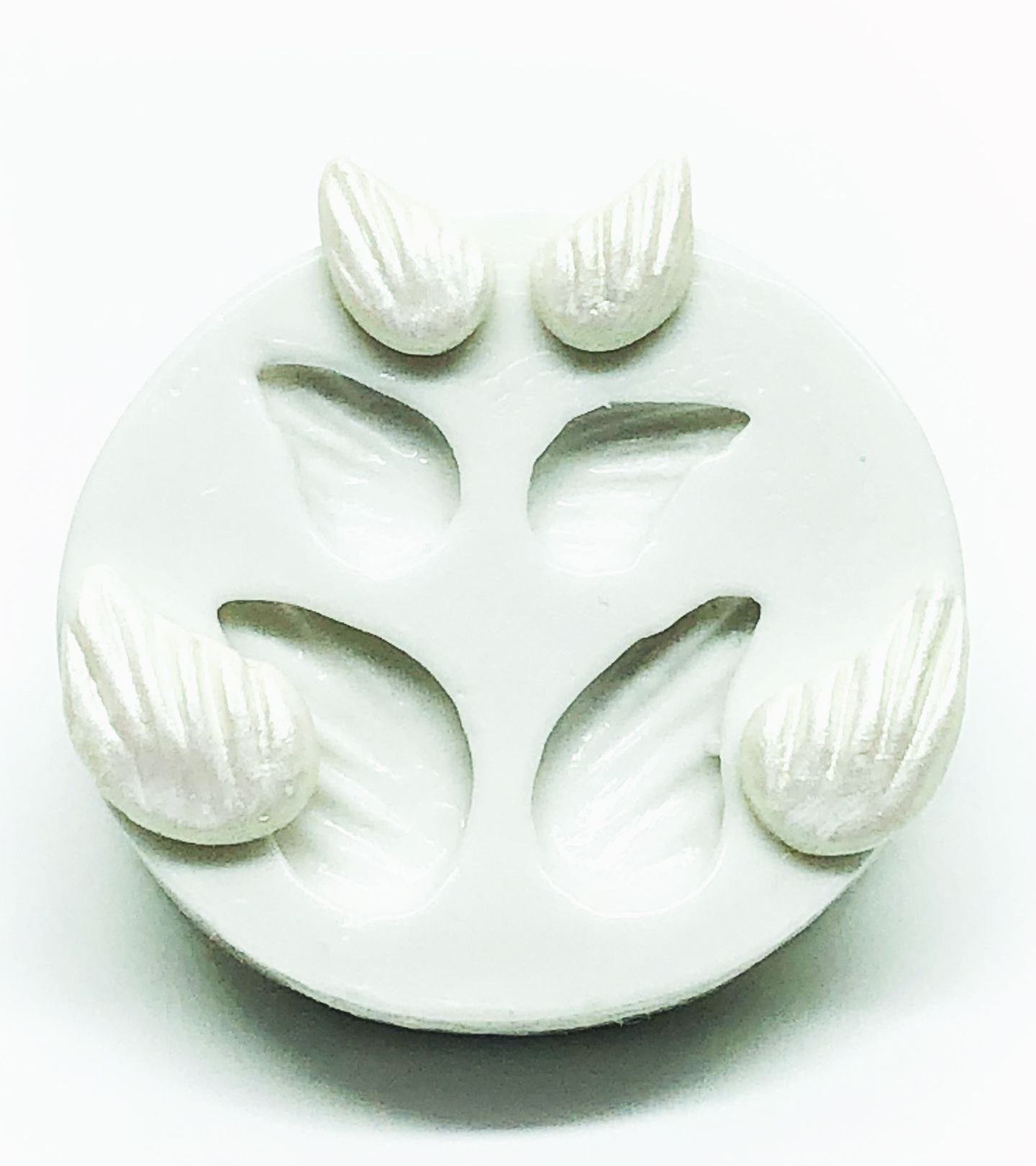 Asas Pequenas - P1022