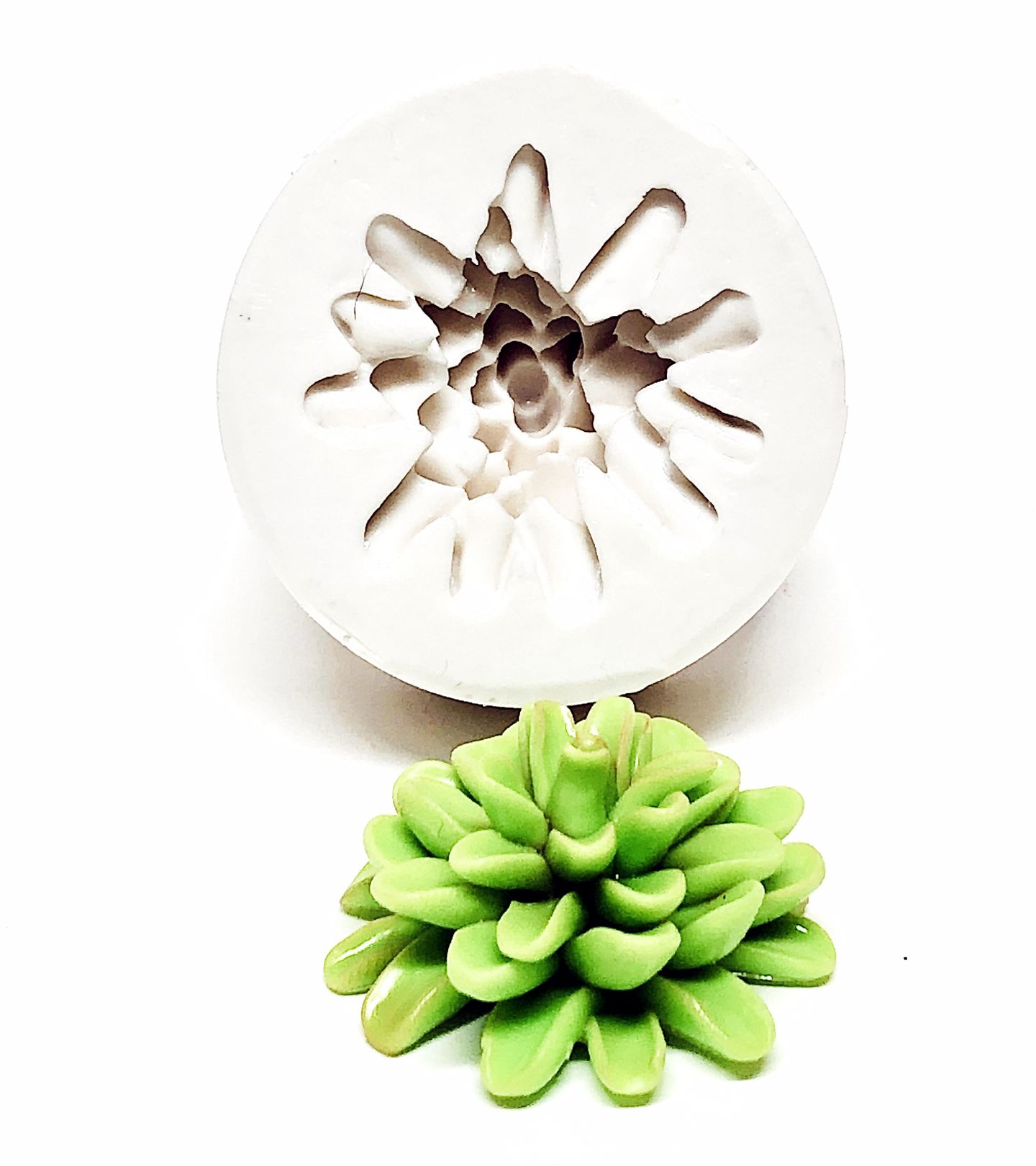 Suculenta - Grande - Mod.02 - P359