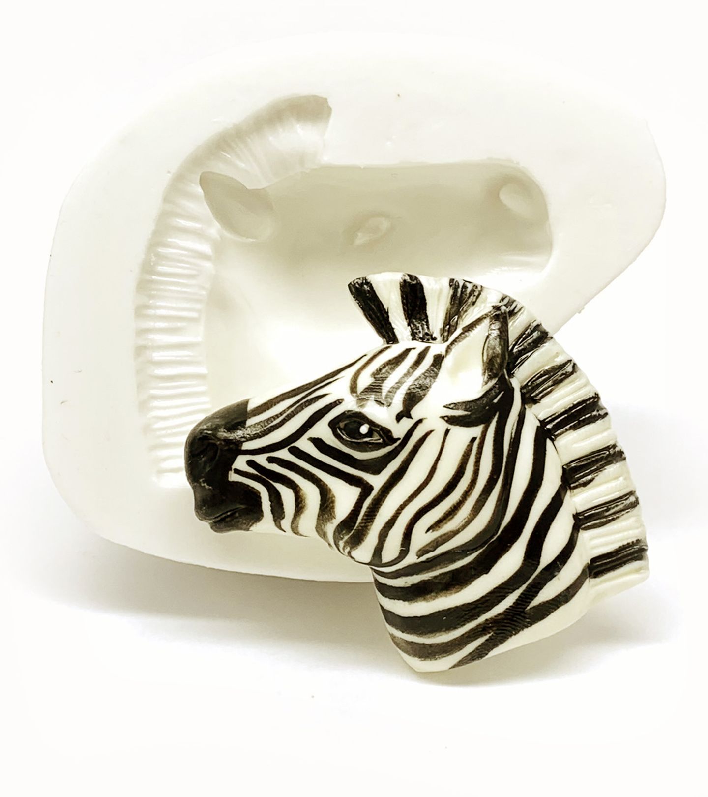 Zebra - Rosto Grande - P1174