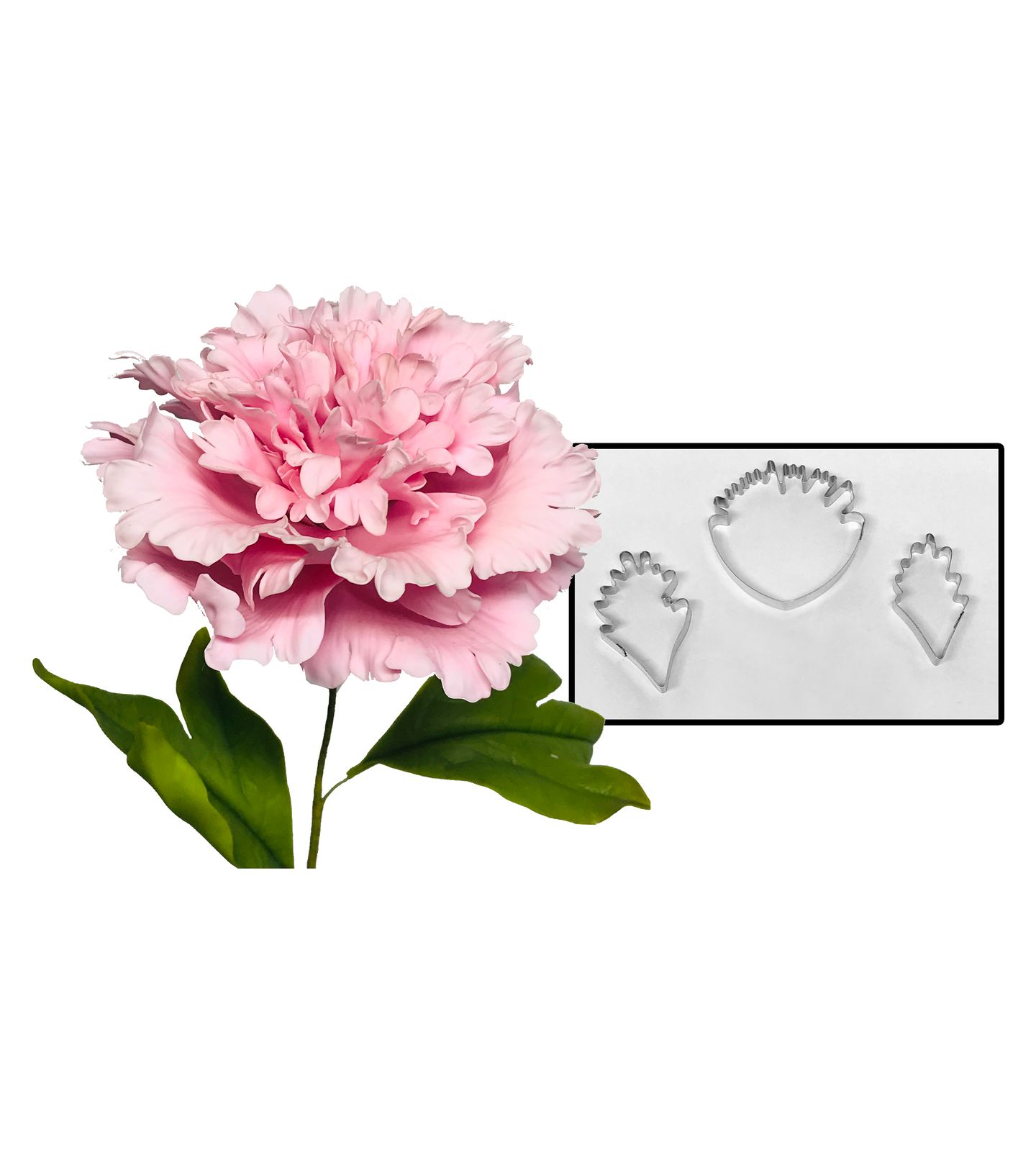 Cortador Aço - Flor - Peonia - Mod.01