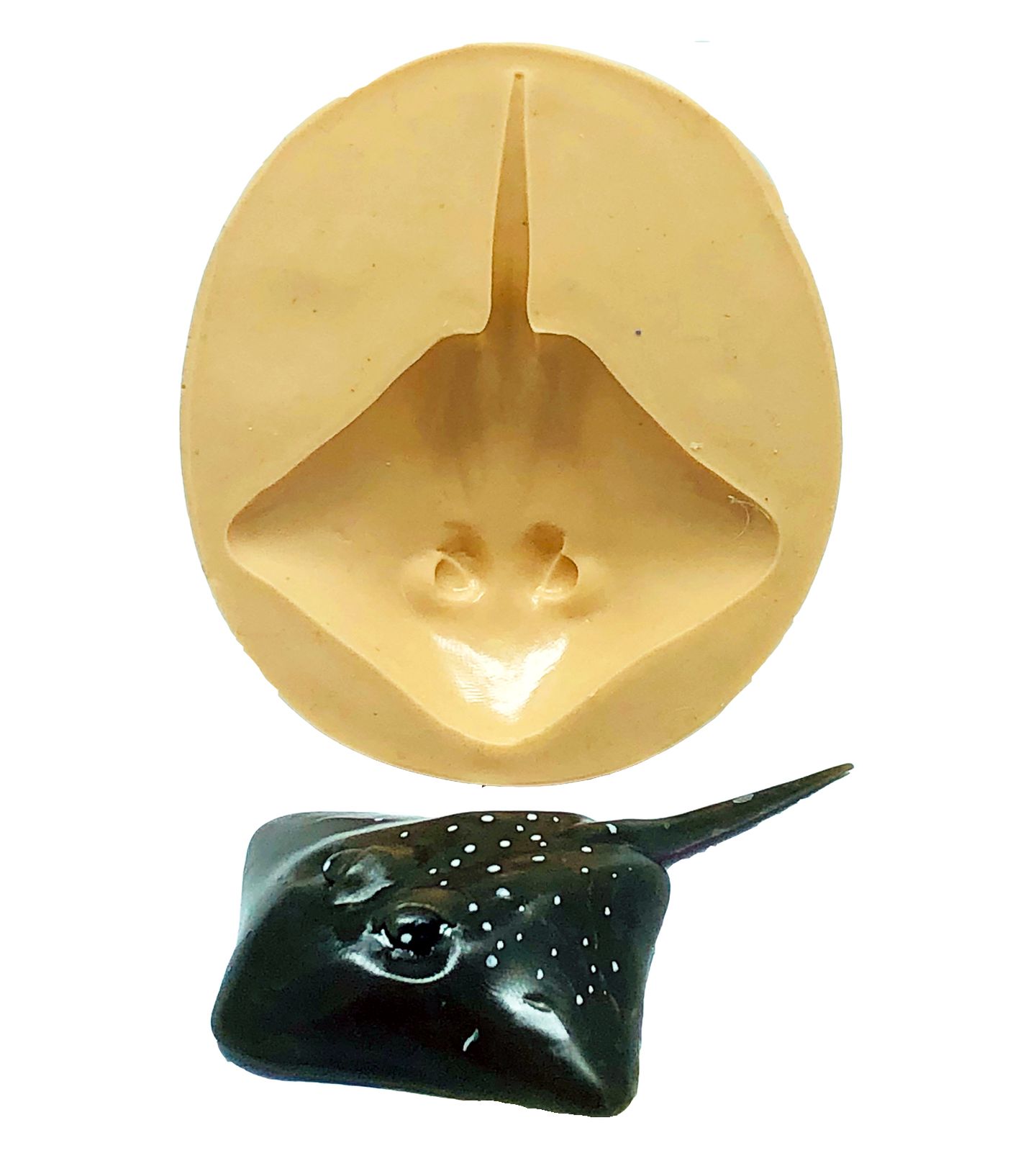 Mar - Arraia - Grande - P808