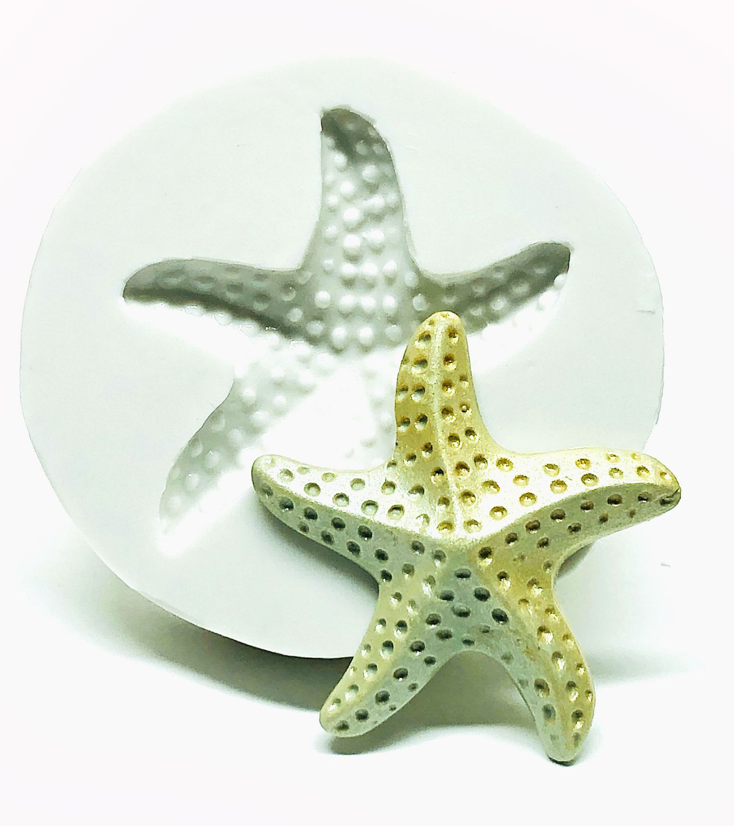 Estrela do Mar Média - P1034