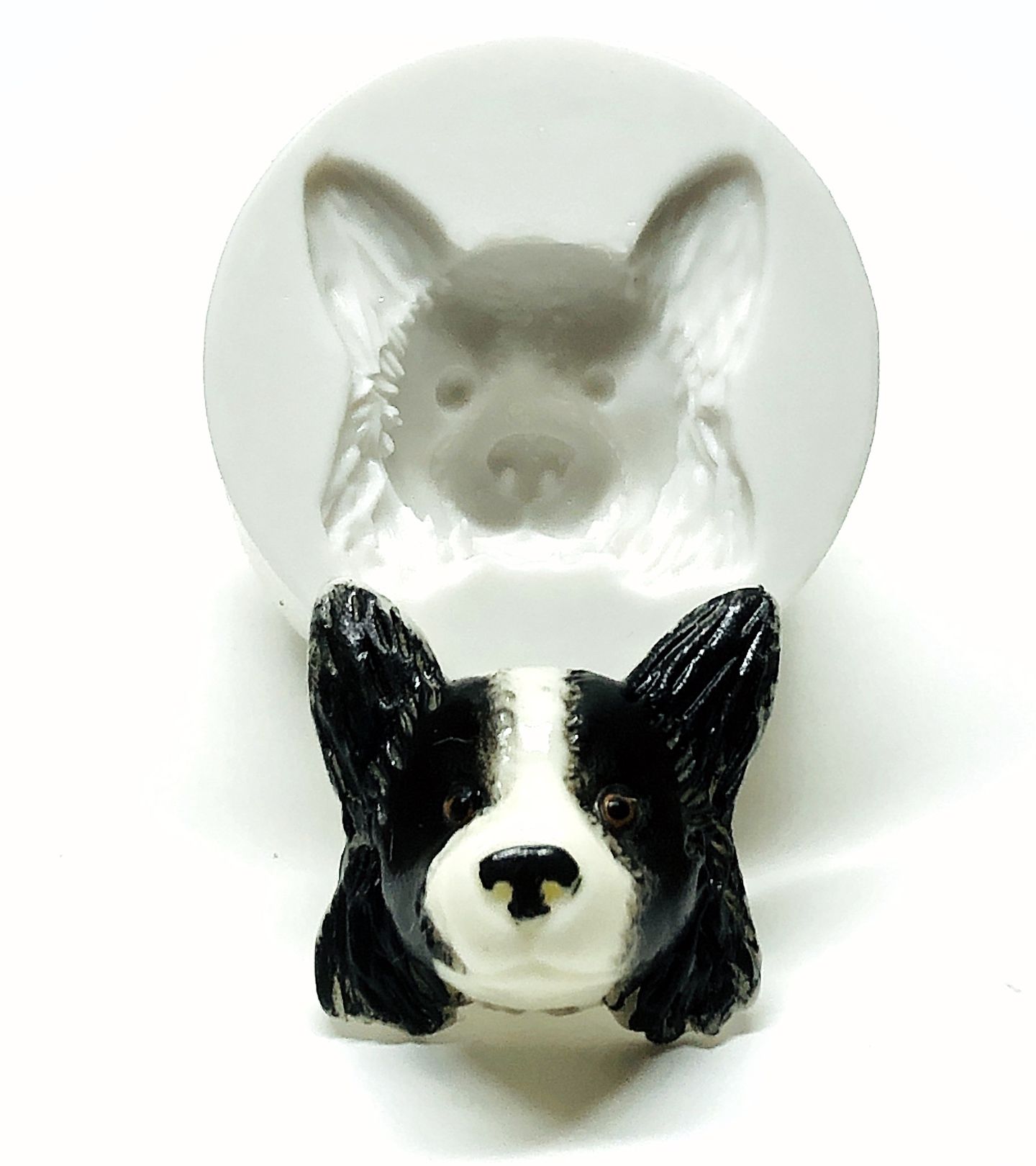 Cachorro - Rosto Border Collie - Medio - P1048