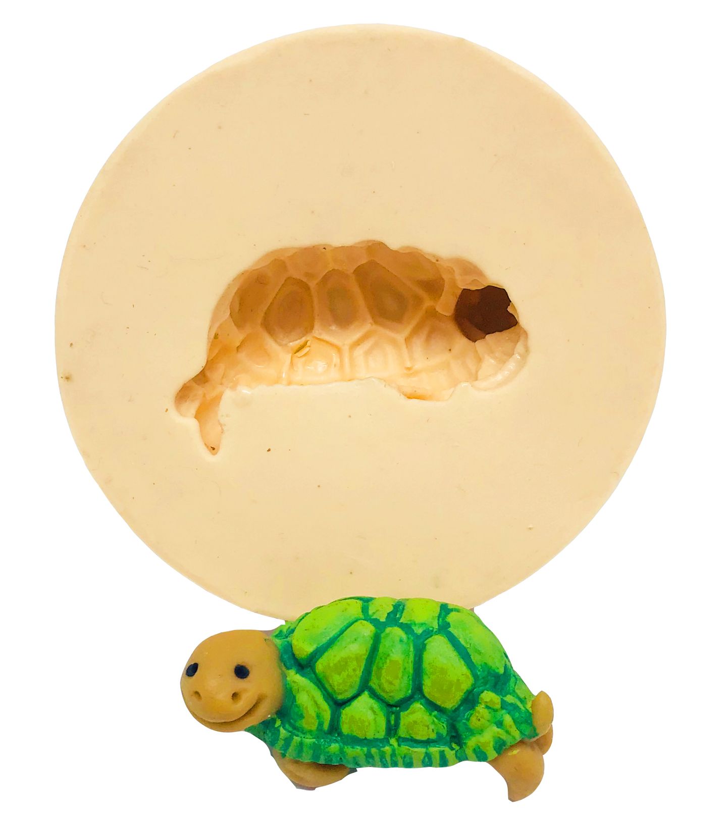 Tartaruga Deitada de Lado