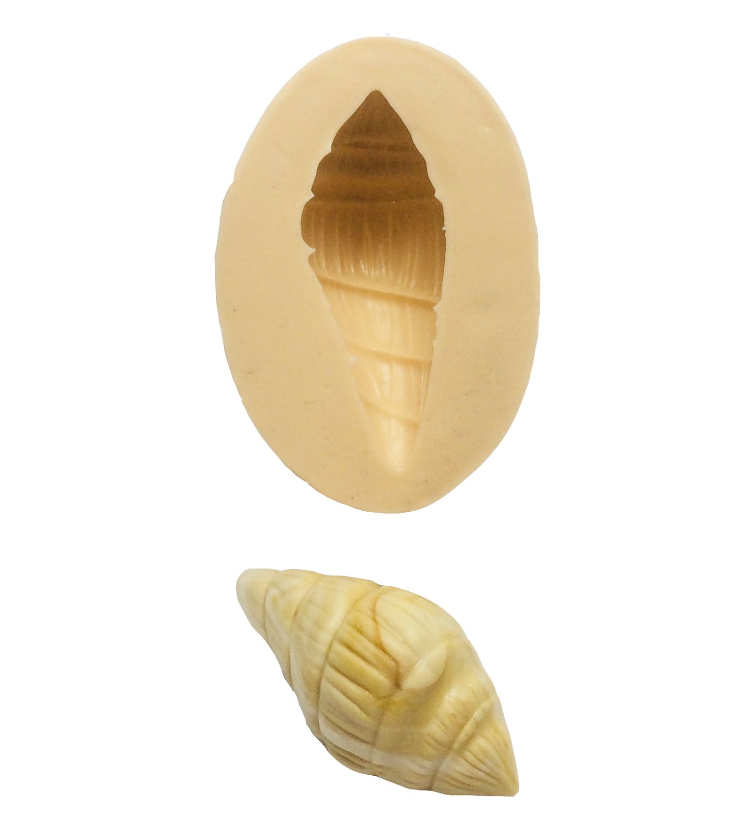 Caramujo - Medio - P357