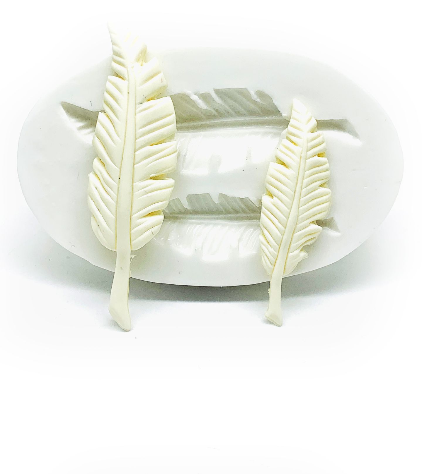 Pena / Pluma - Media e Pequena - P304