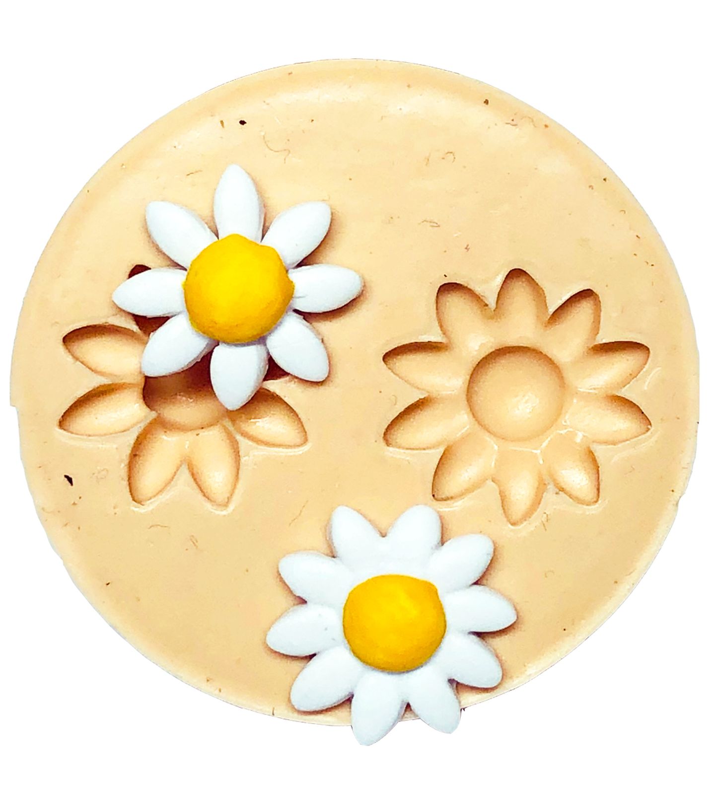 Margaridas - 02 Tipos - P704