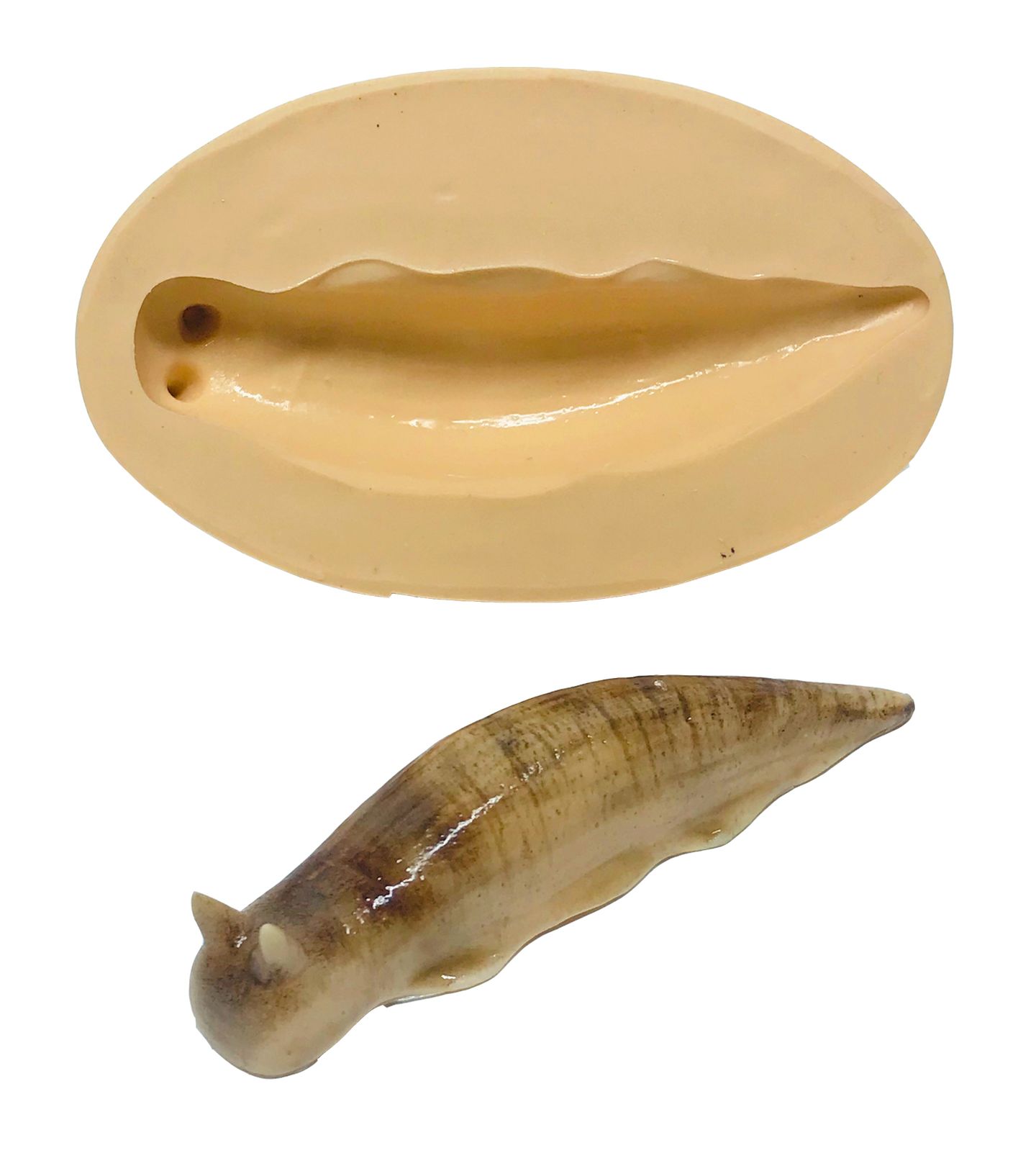 Lesma - Grande - P620