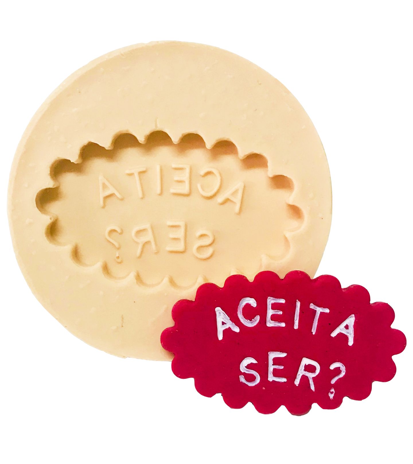 Placa Indicativa -  Aceita ser? - P515