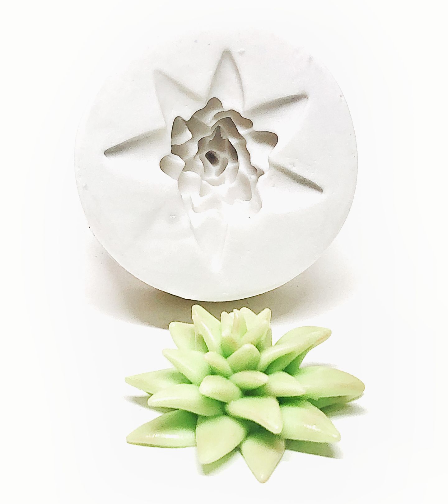 Suculenta - Grande - Mod.03 - P359